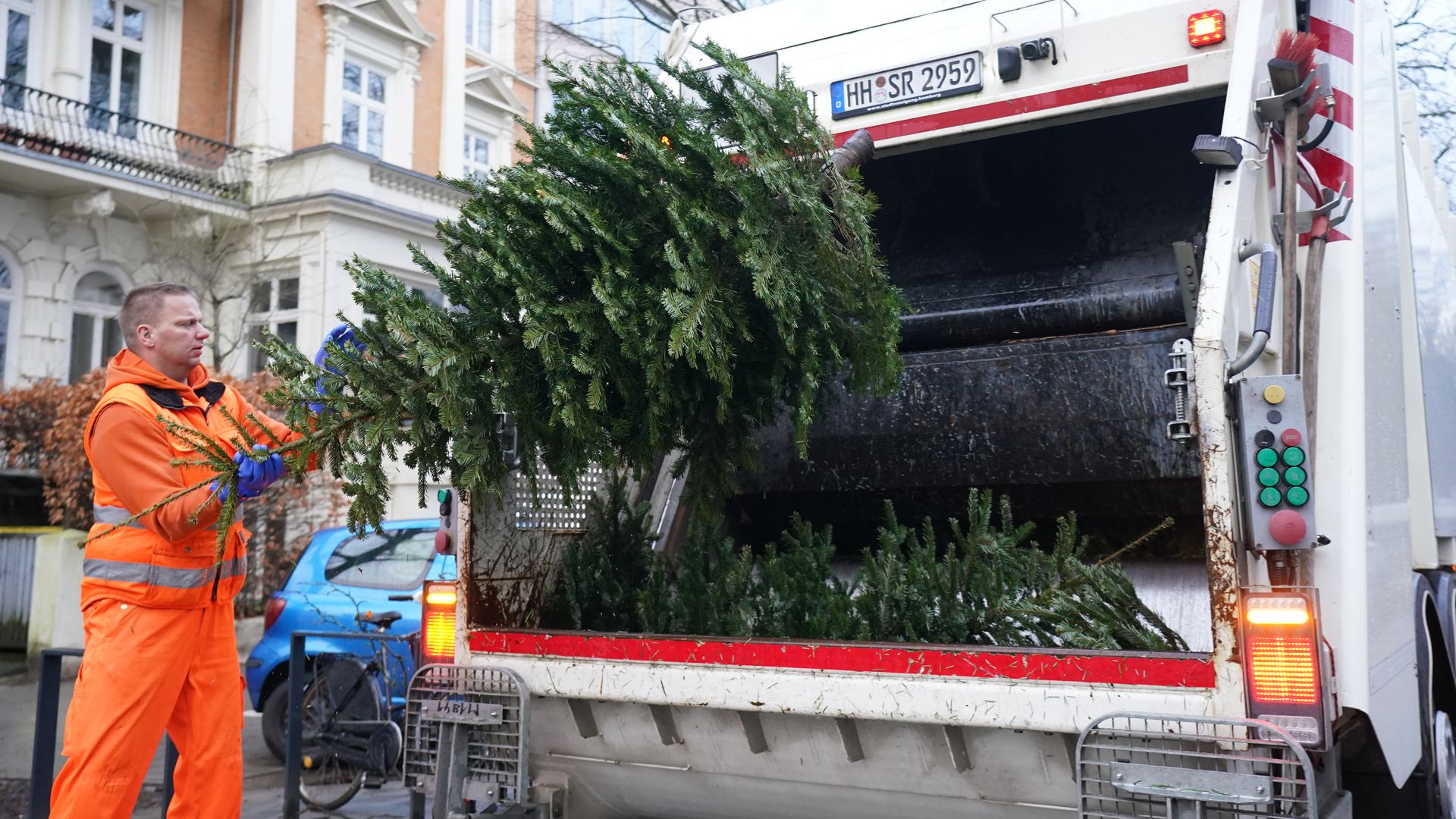 man throwing christmas tree in a garbage truck