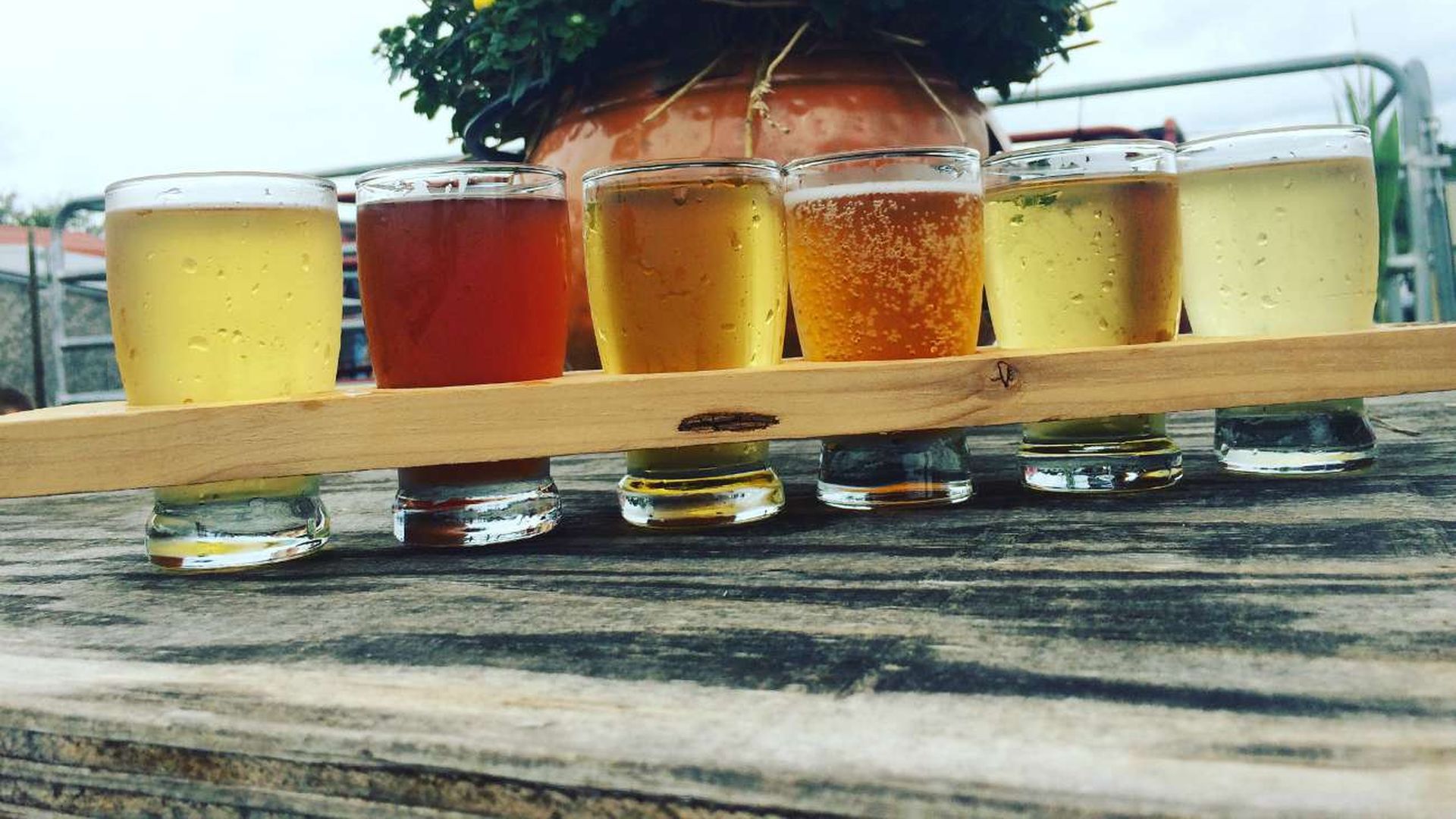 Windy Hill hard cider