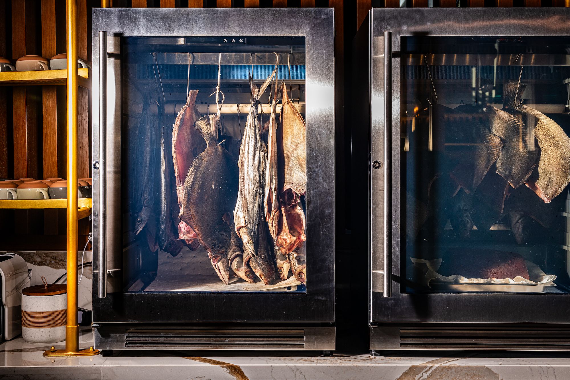 A locker hung with dry-aging fish and seafood
