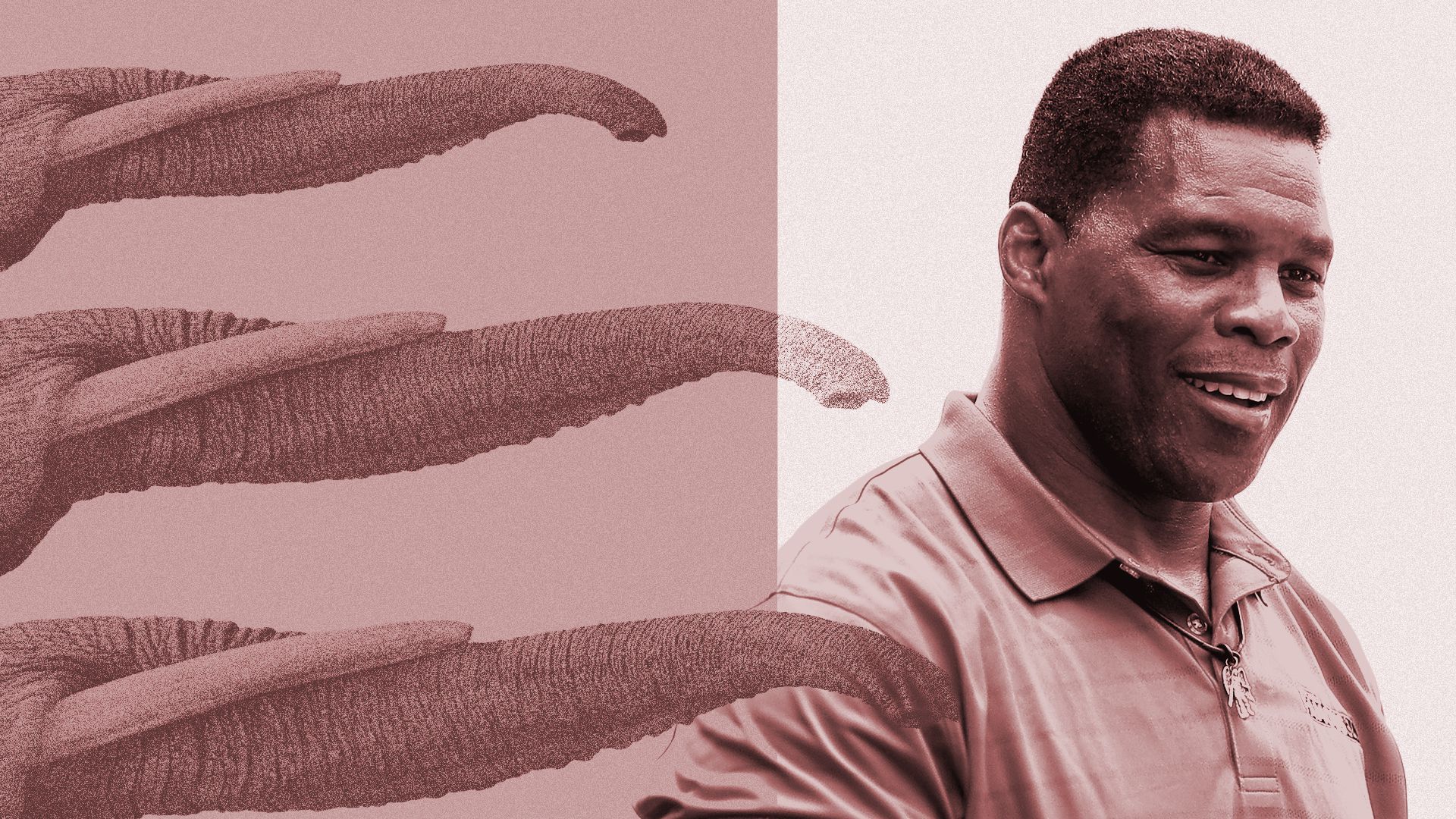 Photo illustration of Herschel Walker and elephant trunks.