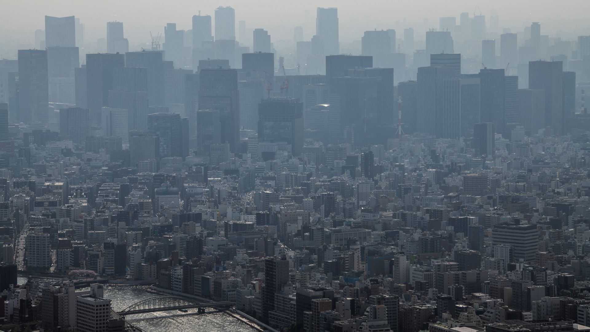 Photo of Tokyo's crowded skyline