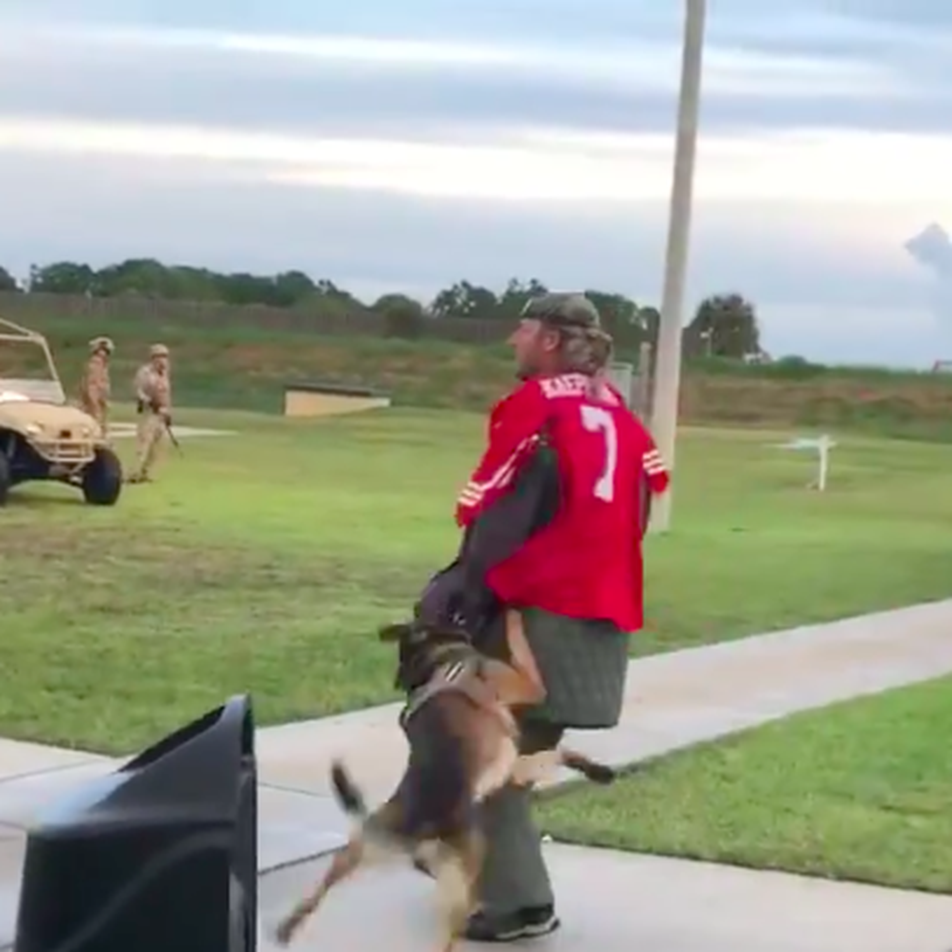 Navy cuts ties with museum over video of dogs biting man in Colin  Kaepernick jersey