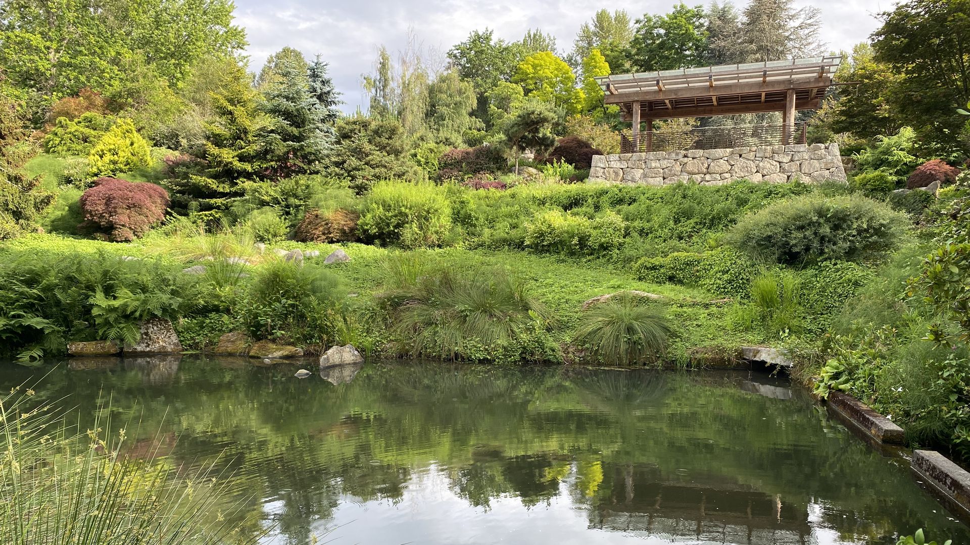 Green bushes and plants are reflected in a pond with a building sitting on a terrace overlooking the pond.