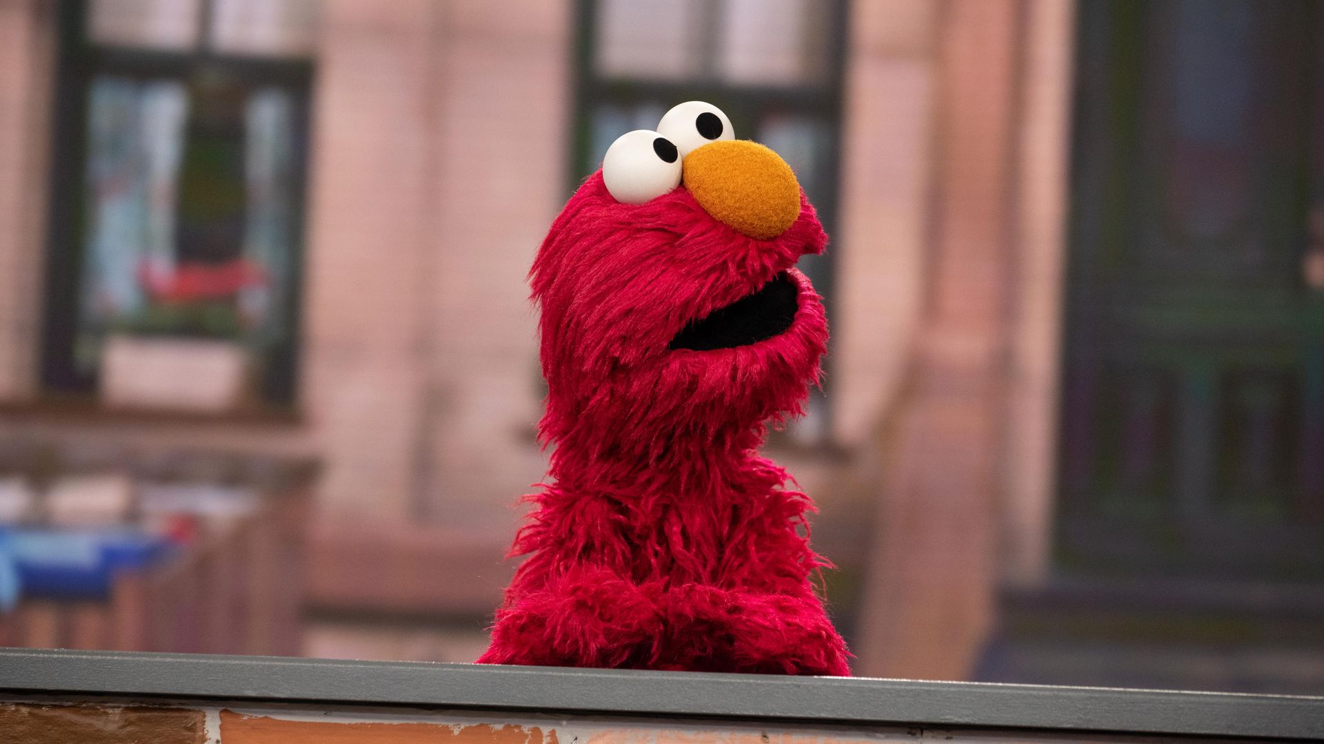 A photo of Elmo