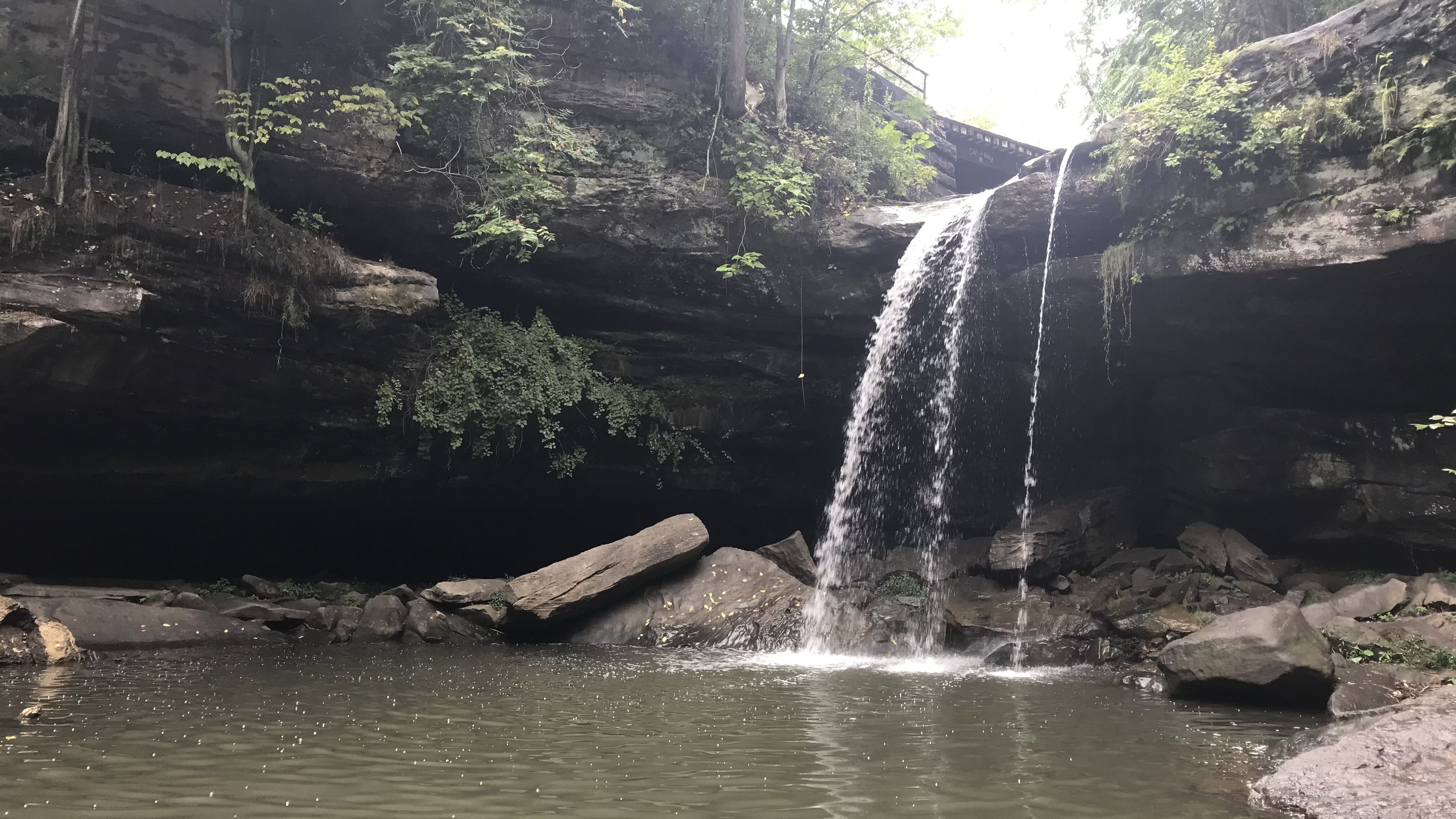 A rocky gorge with a small waterfall spilling from a ledge into a calm pool. Dense green foliage clings to the rocks, a railing on top, and large stones line the water's edge.