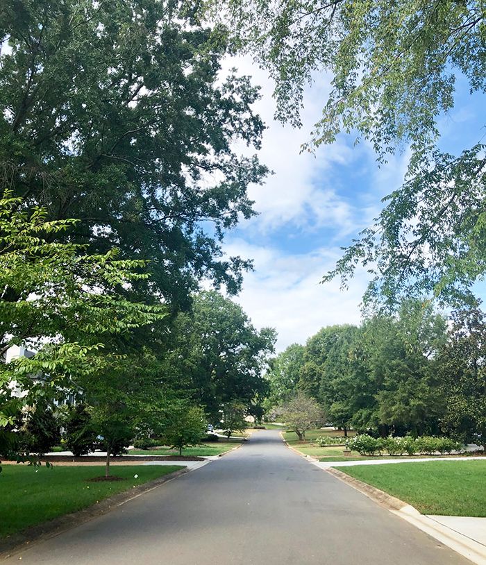 bersford road in foxcroft charlotte