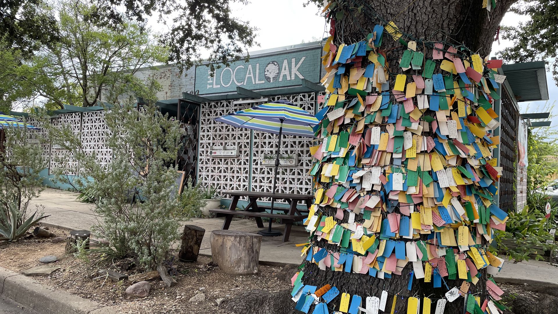 A tree covered in colorful folded paper, in front of a bar