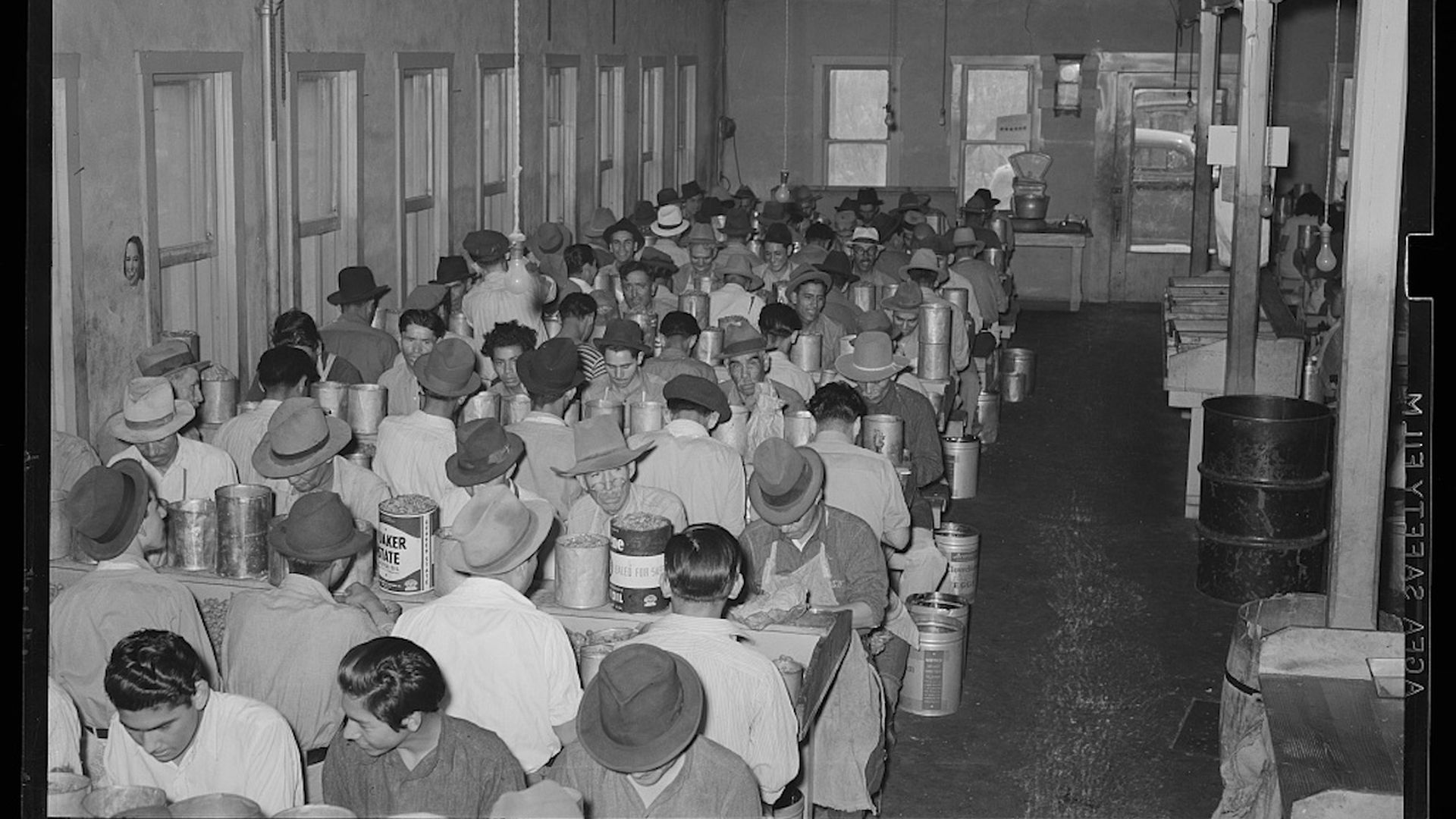 Rows of pecan workers, mostly men, sit side-by-side at a plant in 1939.