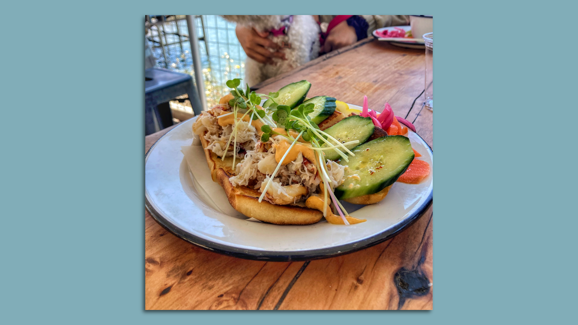 Photo of a dungeness crab roll and sliced cucumbers on a plate. A dog sits in the background next to sparkling blue ocean waters.