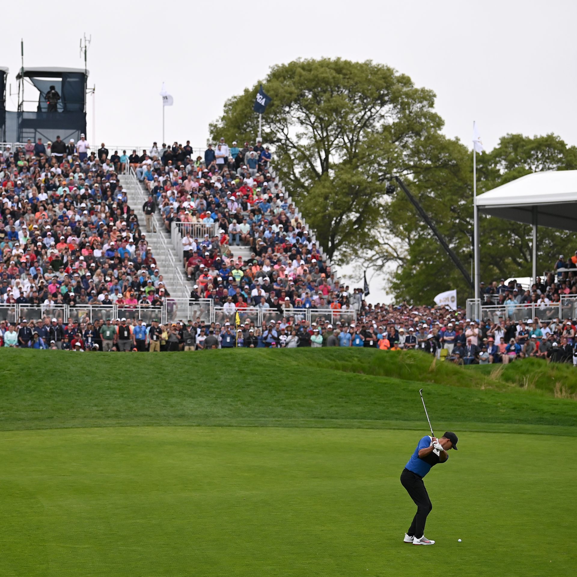 Champions golf tour 2019 sales
