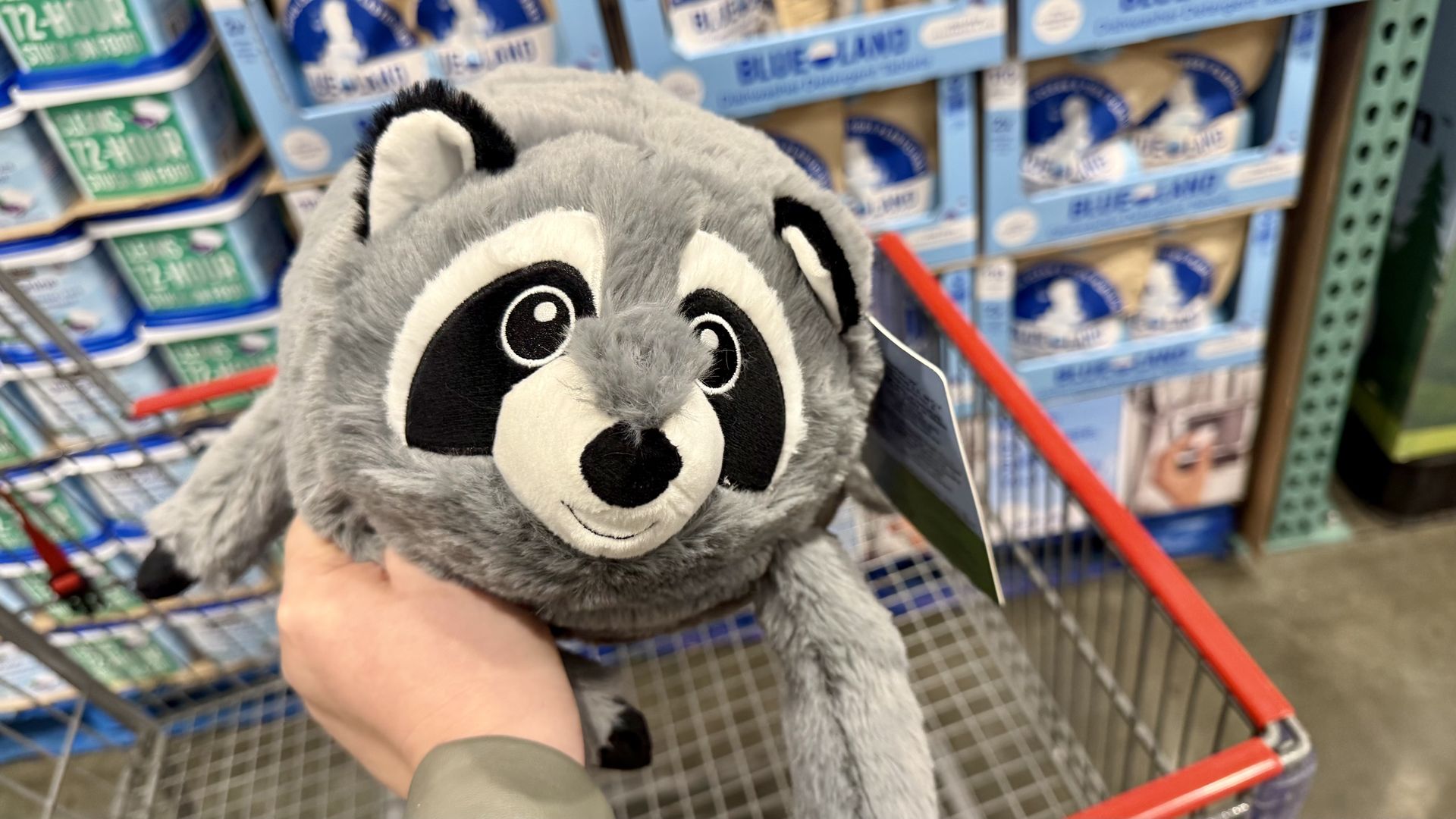 Gray raccoon plush with a black mask is being held up in a grocery store aisle; blurred blue and green product boxes line shelves in the background.