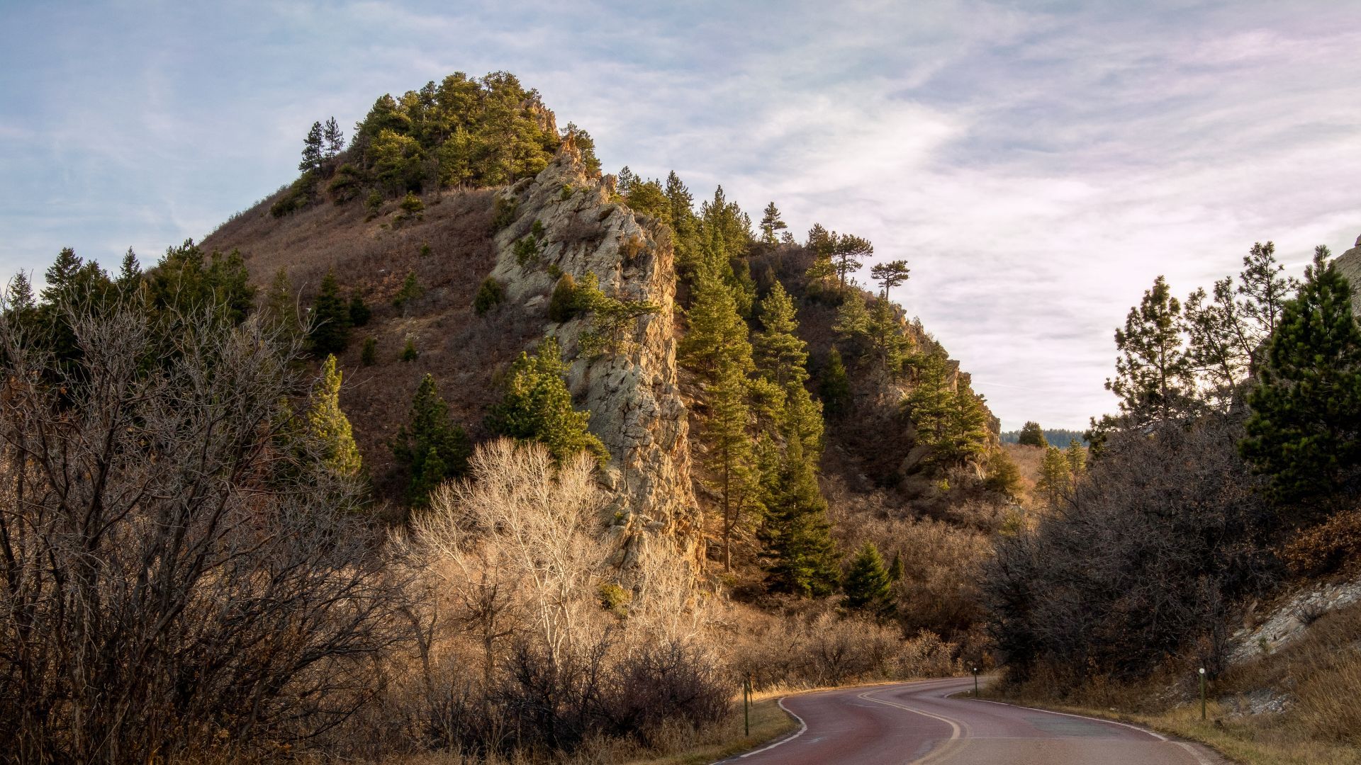 Winding road curves through a rocky hillside forest; jagged gray rock rises beside evergreen pines, foreground bare shrubs, and a blue sky with wispy clouds.
