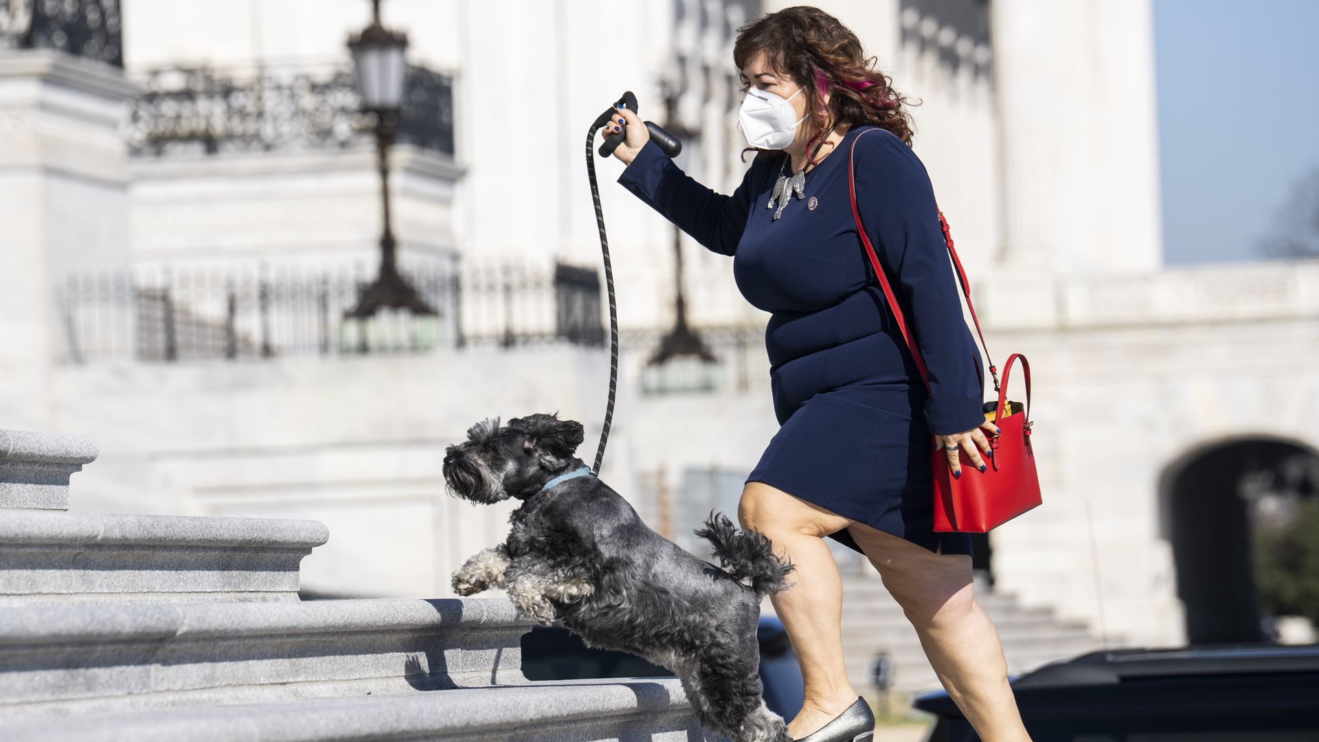 A member of Congress is seen running up the Capitol steps with her dog.