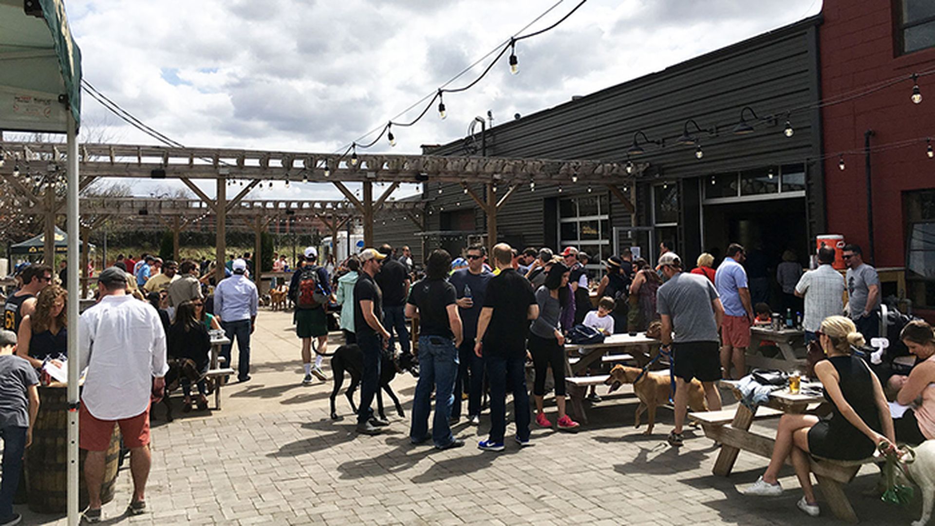 sycamore-brewing-patio