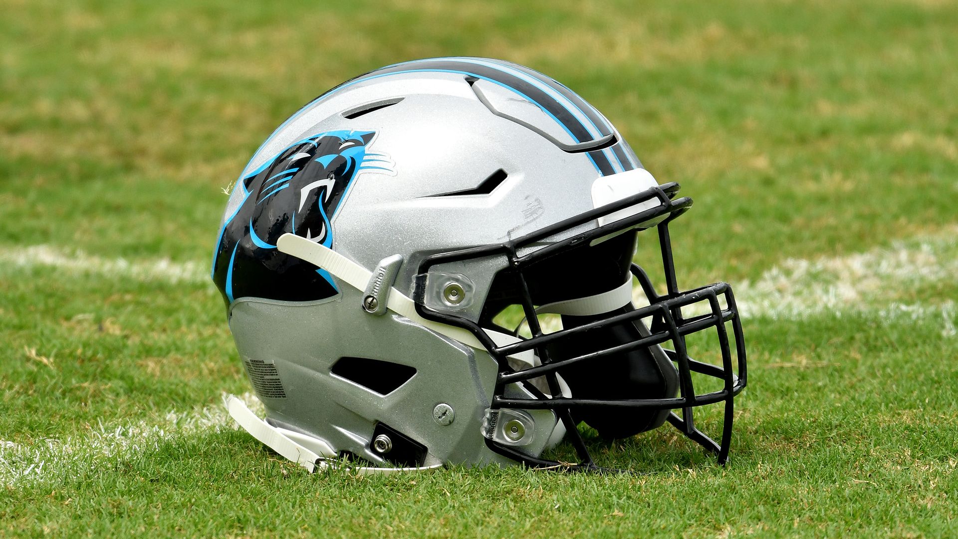 Panthers helmet