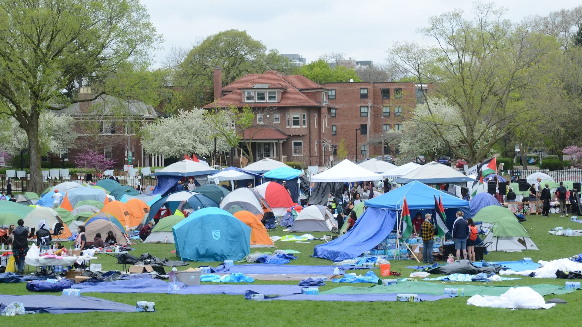 Tents set up on a college campus quad.