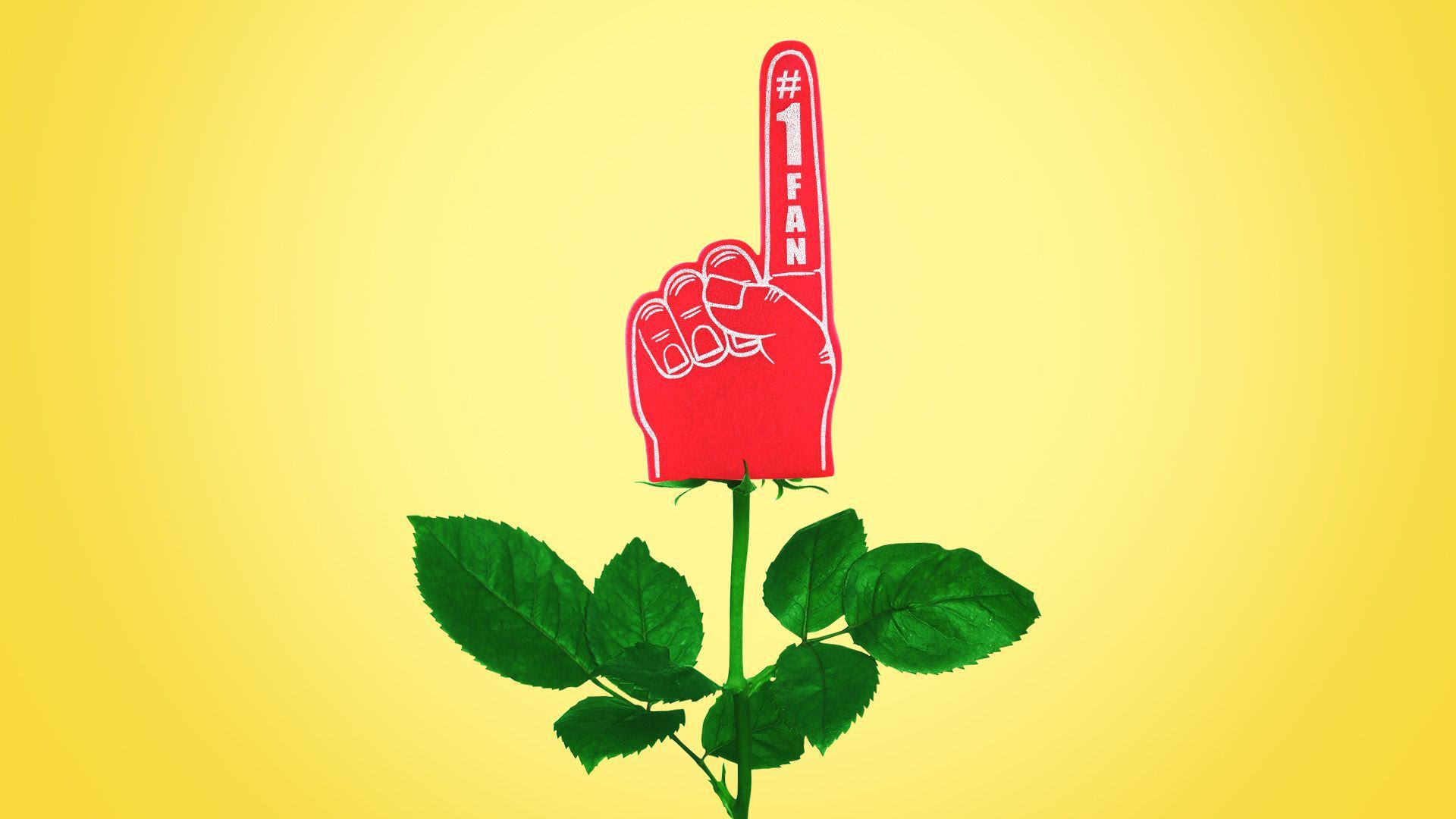 Illustration of a sports foam finger as a flower