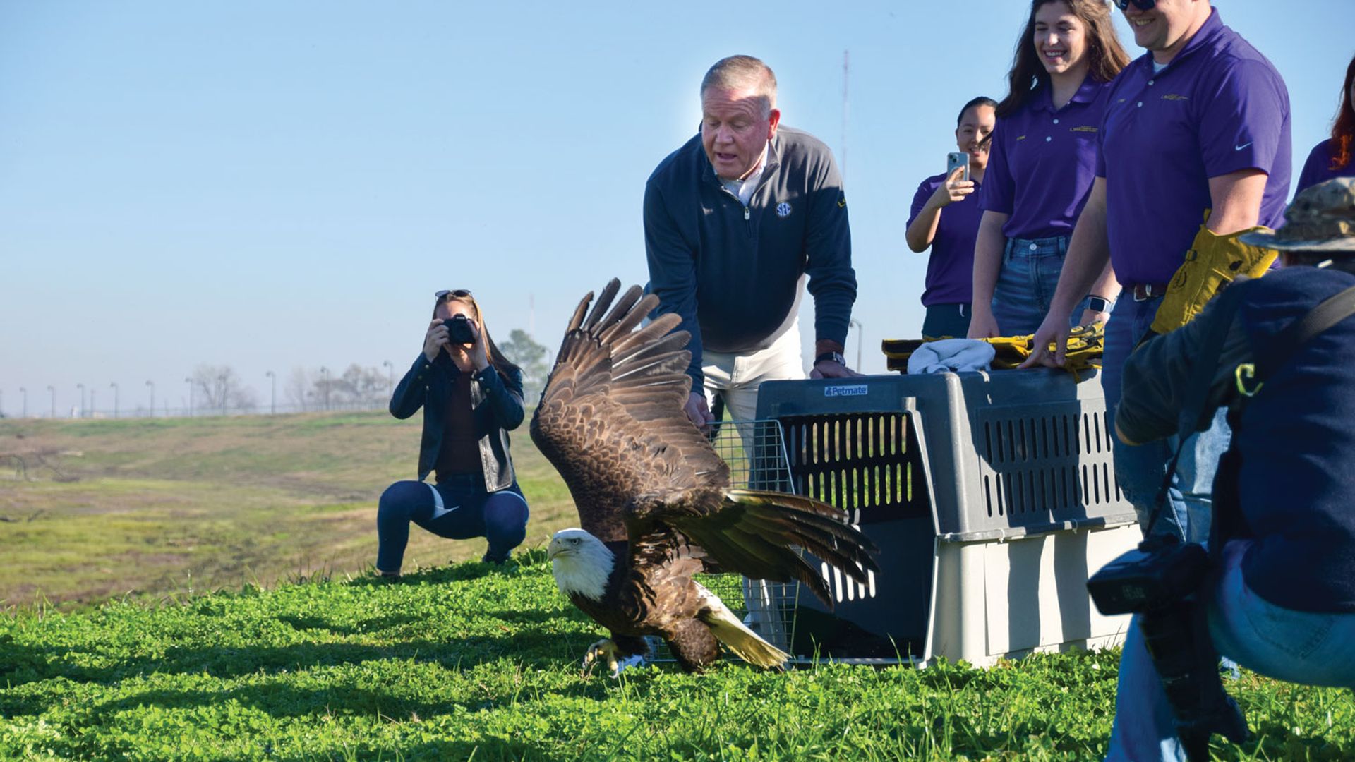 LSU football coach Brian Kelly releases a bald eagle from a dog crate on a levee. He is surrounded by LSU students as he does so.