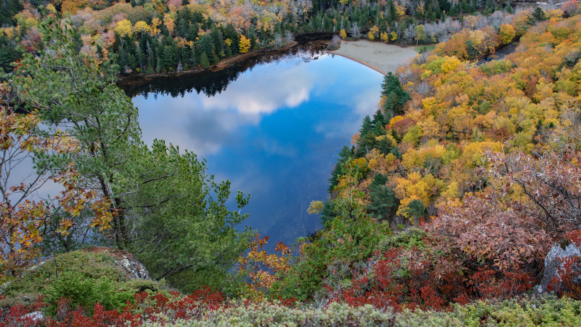 An aerial view of trees with green, yellow and red leaves surrounding a lake