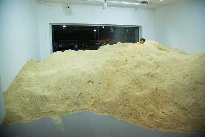 Galindo-Davidson-College