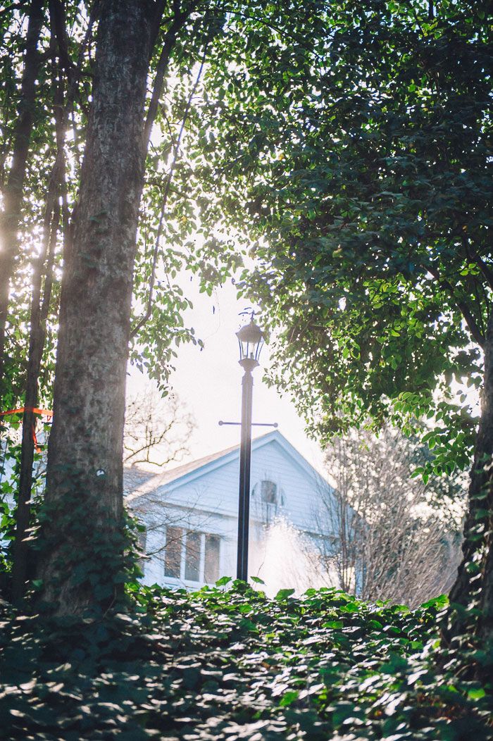 Duke Mansion on Hermitiage