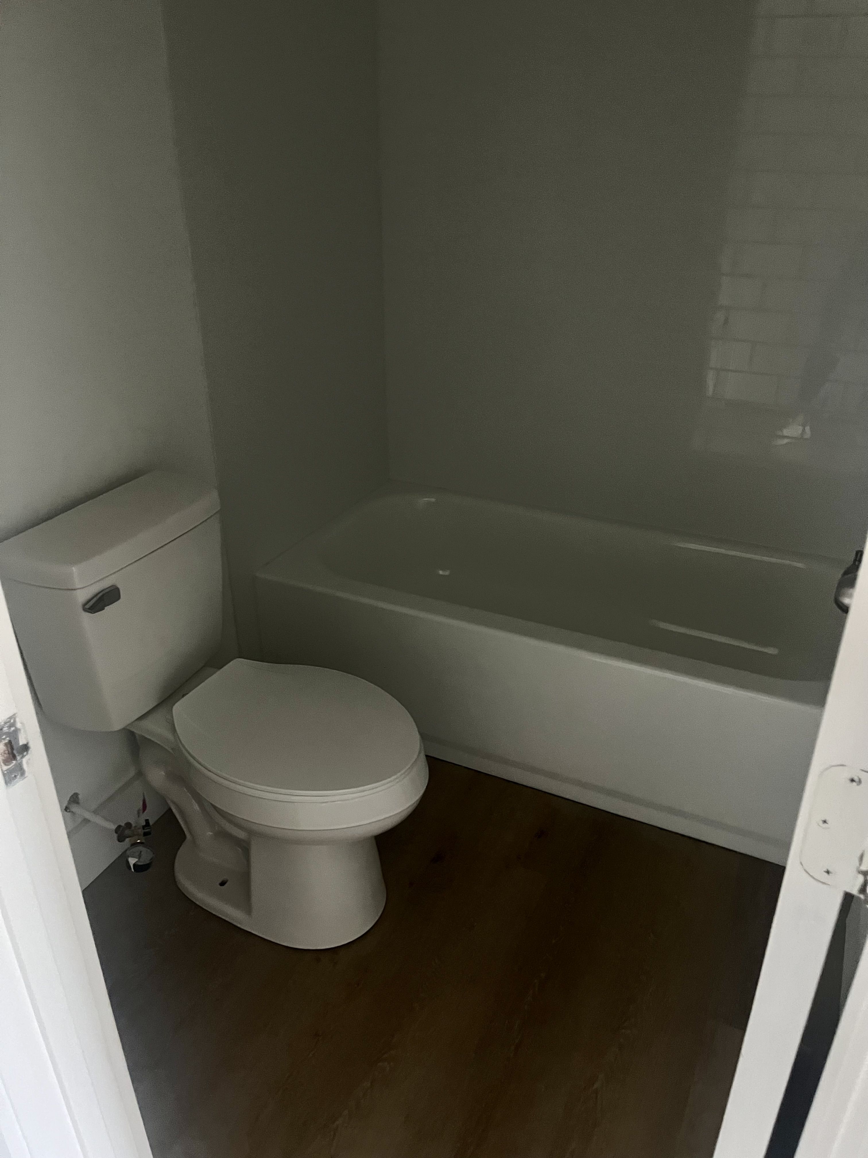 Small bathroom with white toilet and bathtub, light gray walls, and dark wood floor.