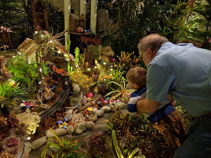 daniel-stowe-orchids