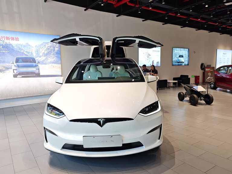 The Optimus Timeline and Realistic Expectations - visual representation