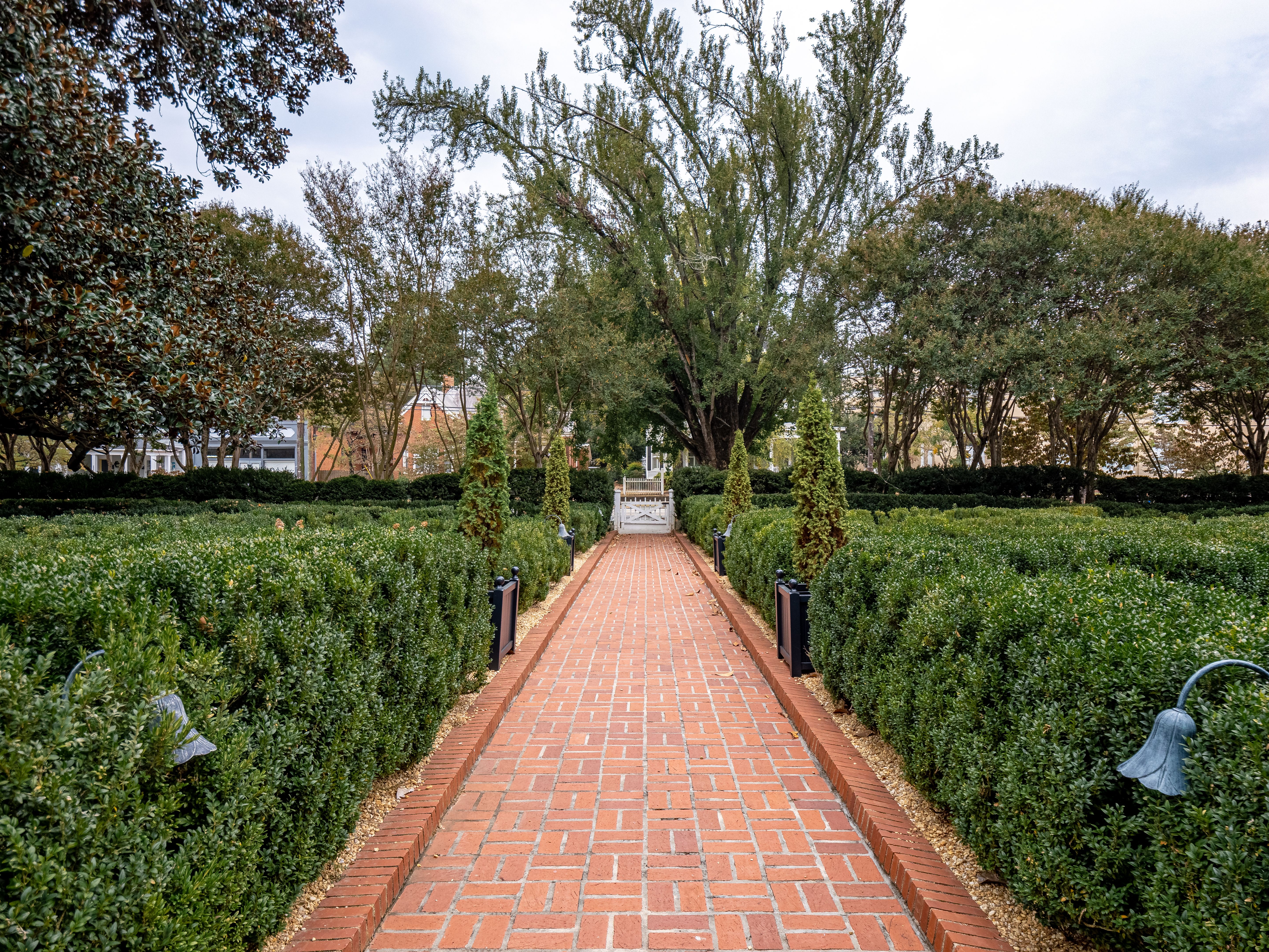 Walkway between lush gardens.