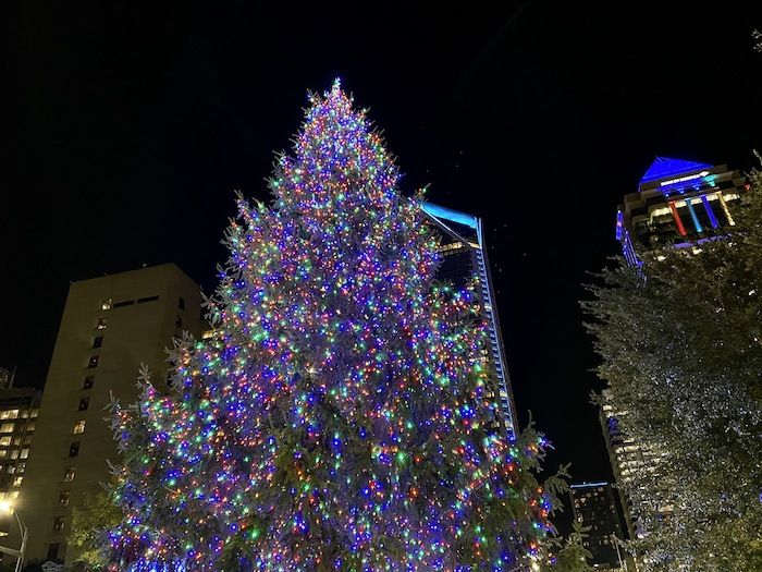 bank of america christmas tree