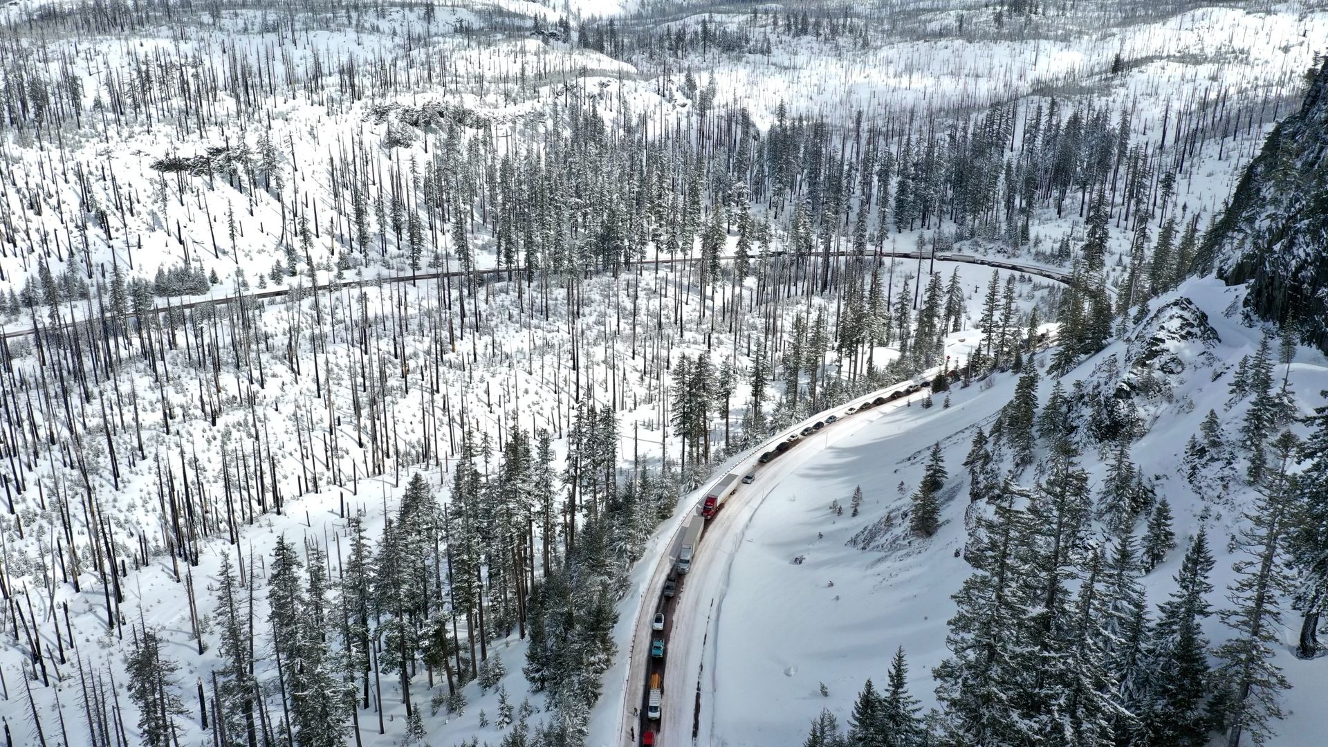 An aerial image of a curvy road carved through a forest of snow-capped evergreen trees.