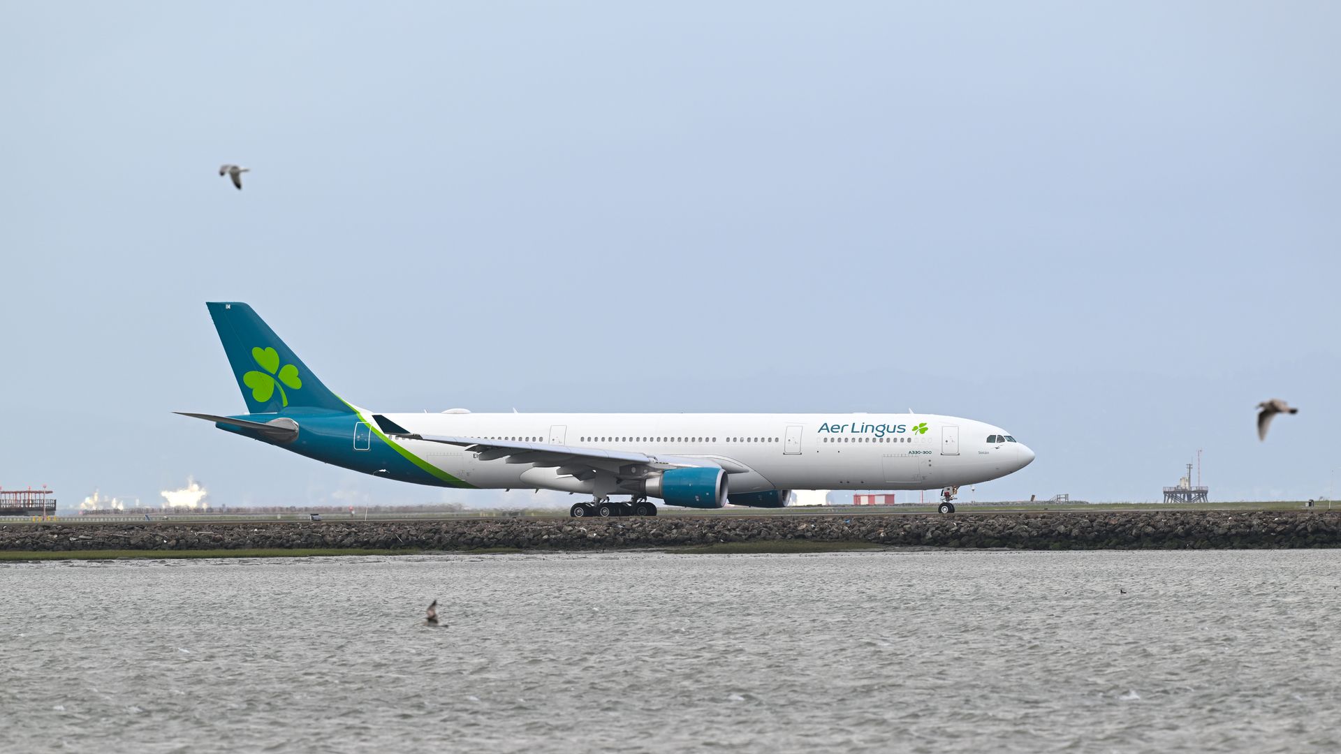 SAN FRANCISCO, CALIFORNIA - MARCH 17: An Air Lingus plane takeoff from San Francisco International Airport (SFO) in San Francisco, California, United States on March 17, 2025. (Photo by Tayfun Coskun/Anadolu via Getty Images)
