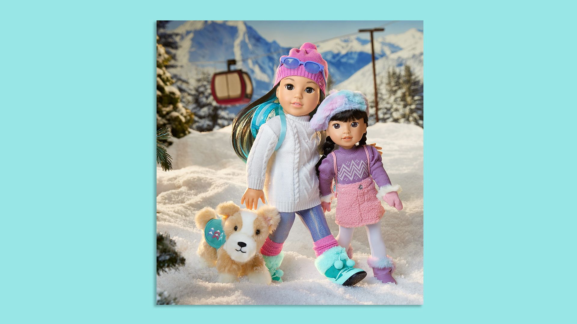 two Chinese American dolls from American Girl shown on a fake ski slope with a toy dog