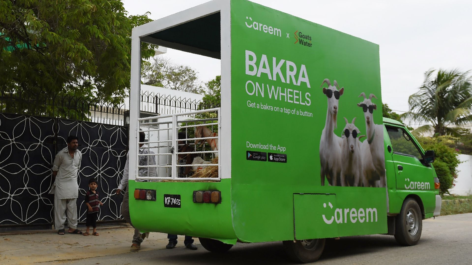 Careem's service 'Bakra on wheels' transports goats in a green truck