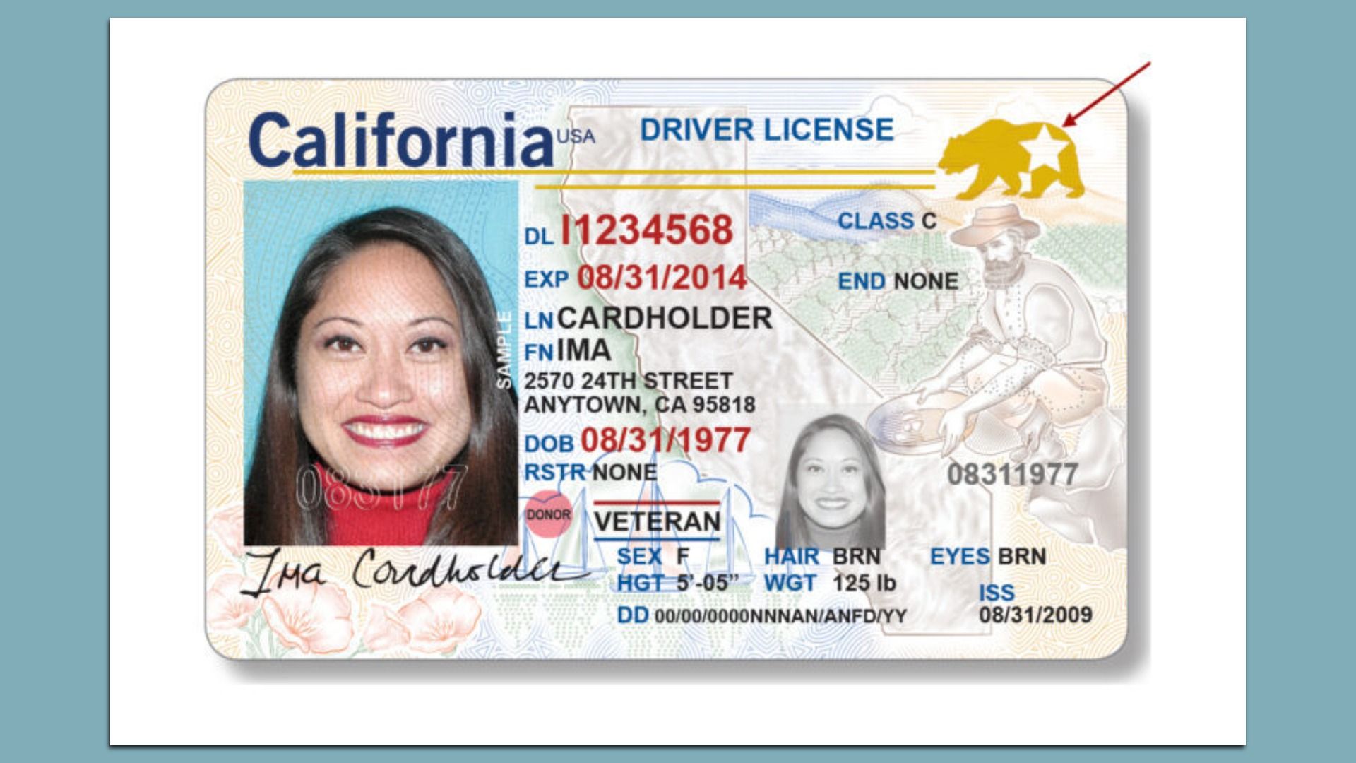 An example of a California drivers license with a gold bear with a star in the corner denoting it's a Real ID.