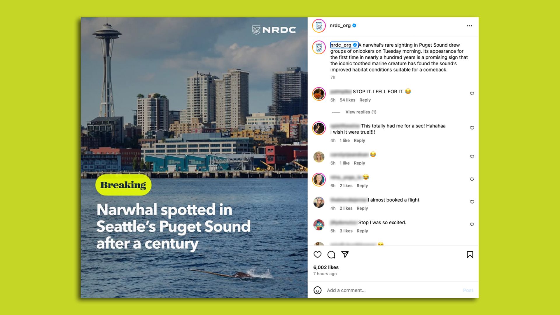 A screenshot of an April Fool's Instagram posting claiming a narwhal had been spotted near Seattle. 