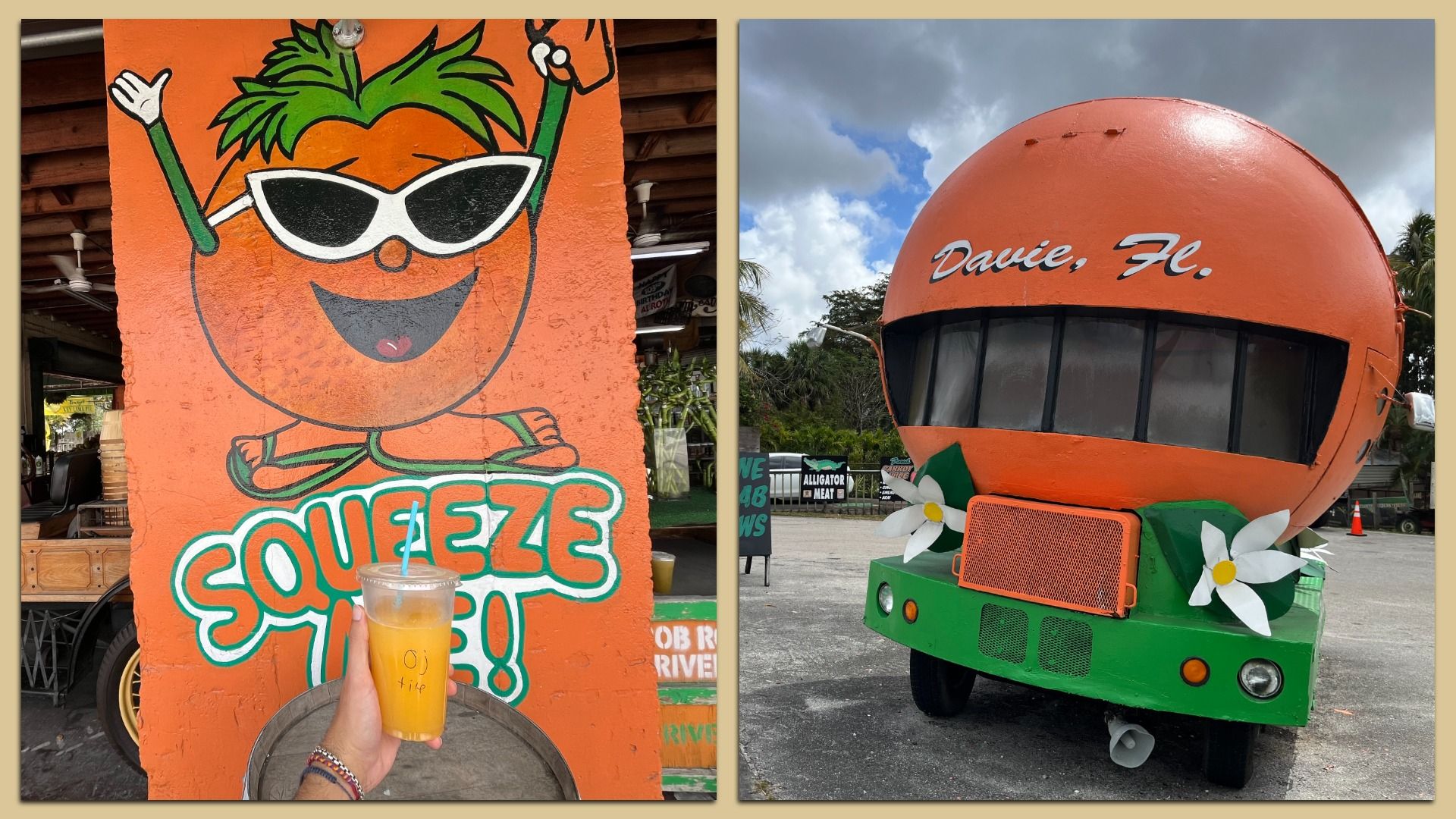 Left image: Hand holding a cup of orange juice in front of an orange wall with a cartoon orange wearing sunglasses and the text "SQUEEZE ME!". Right image: Large orange-shaped vehicle with "Davie, Fl." written on it, decorated with white flowers and green base.