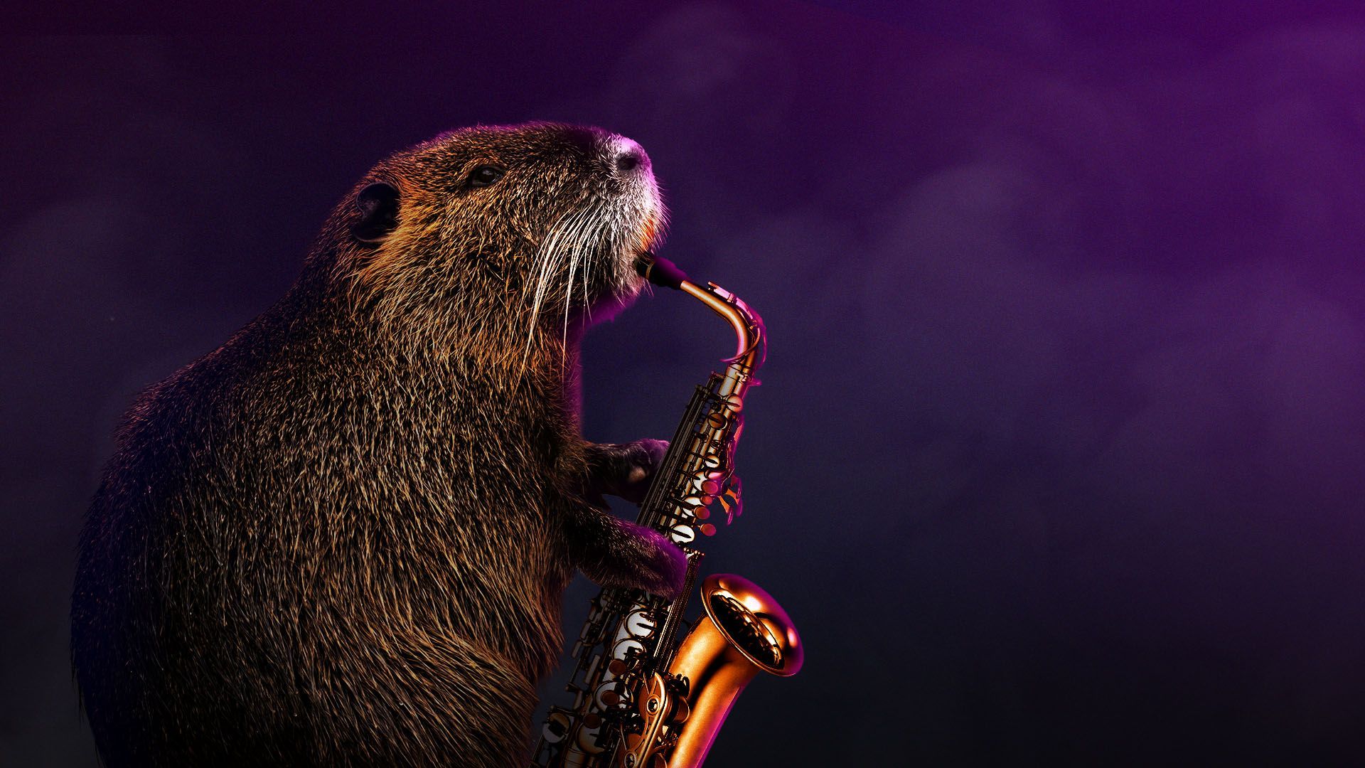 Illustration of a nutria playing the saxophone. 