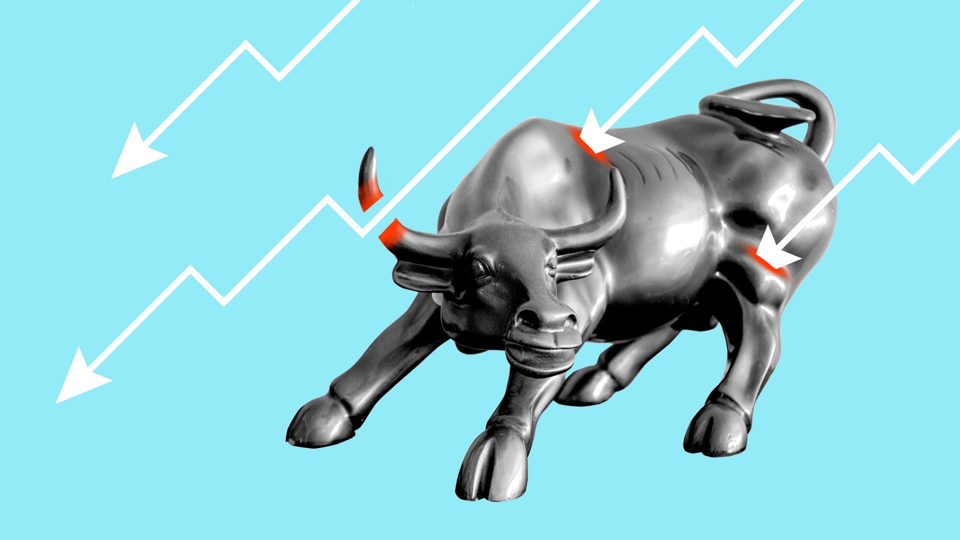 A bull resists darts fired at it.