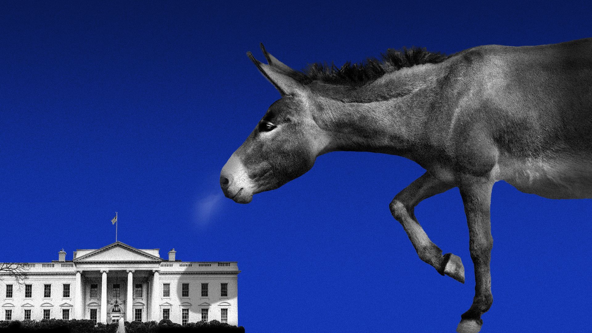 Illustration of a donkey fuming at the White House.