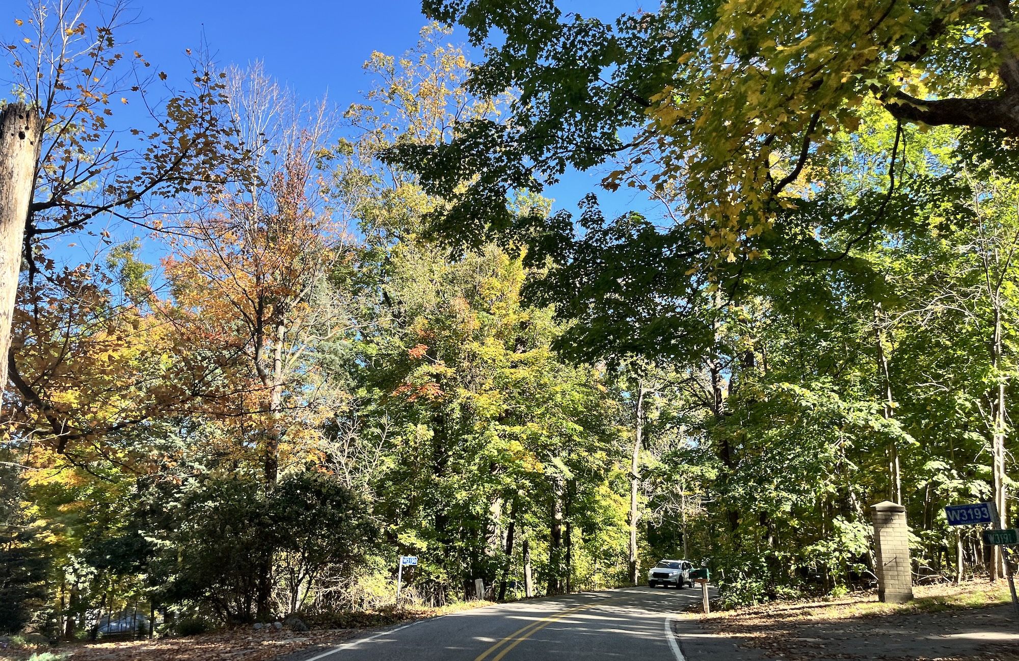 Sunlit road curves beneath a thick canopy of green and autumn leaves, with a bright blue sky. A car drives on the right; a brick pillar and blue sign mark the curve.