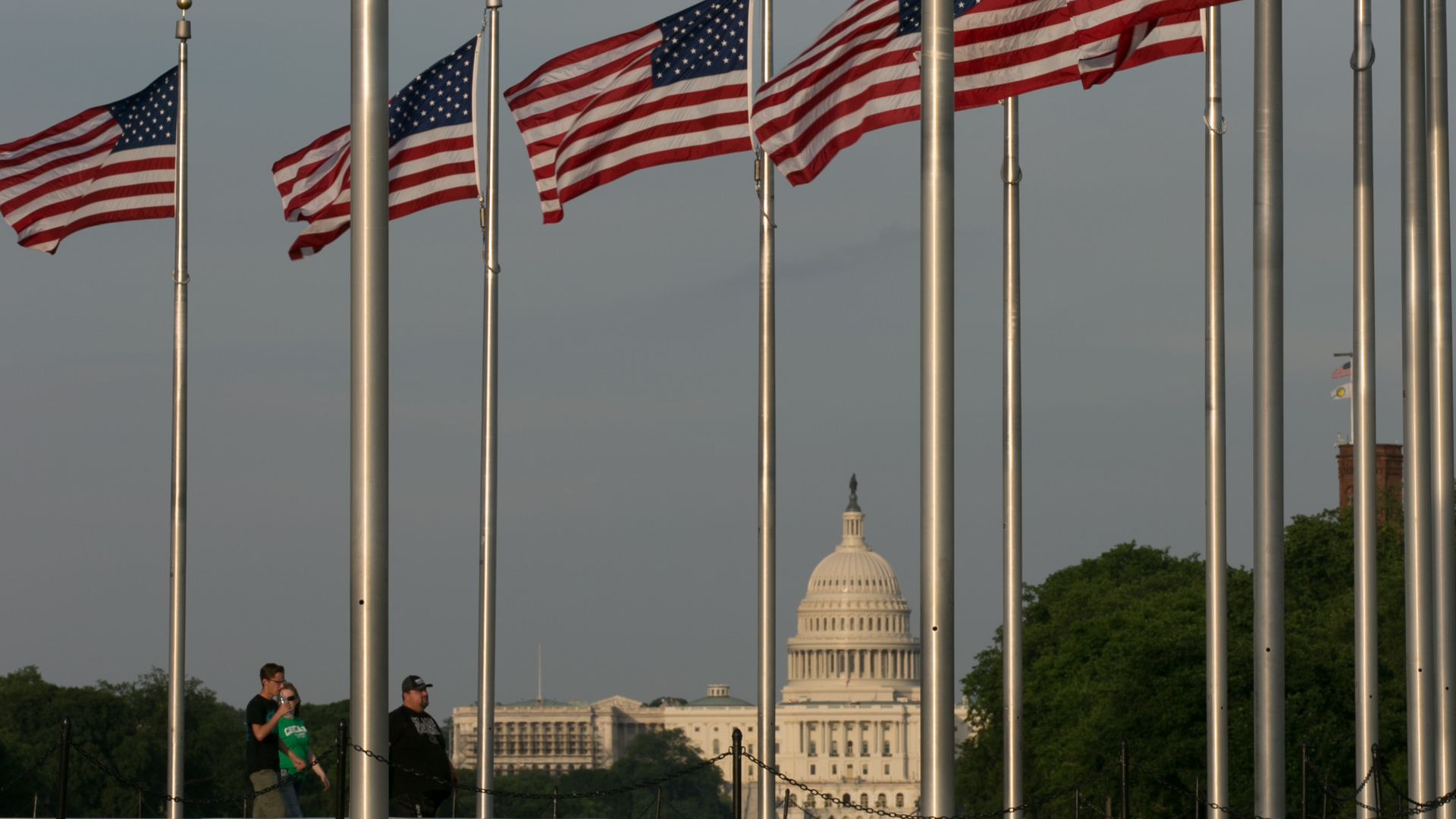 American flags on poles in a circle, with the Capitol Dome in the background