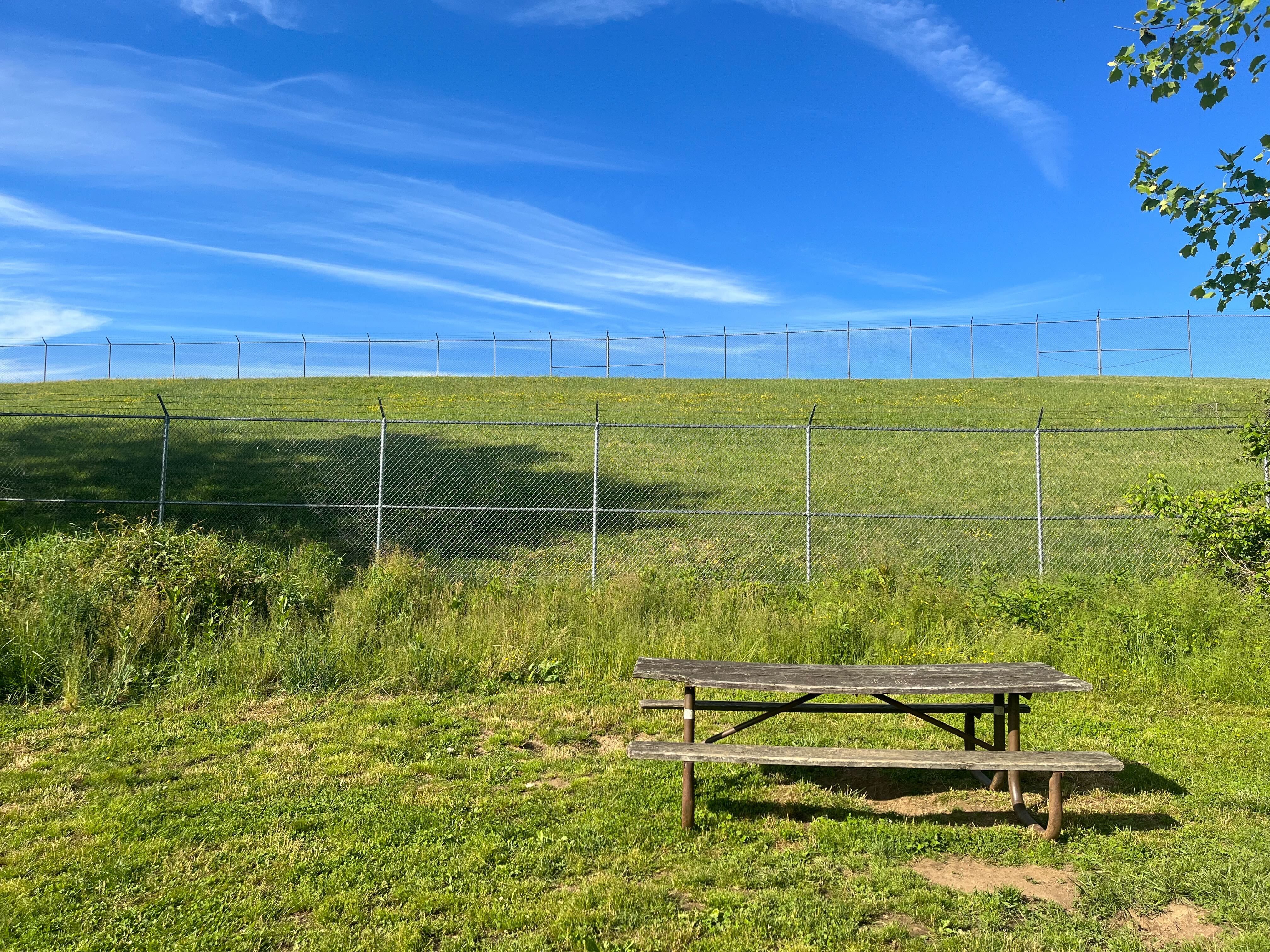 A picnic table is framed on the right side of picture, with grass and a blue sky in the background