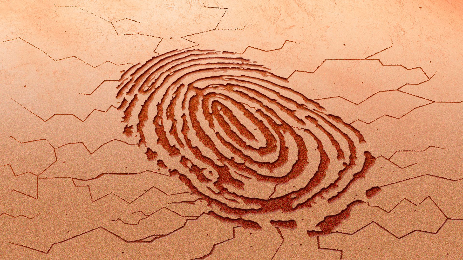 Illustration of a fingerprint pattern made from cracks in dry ground
