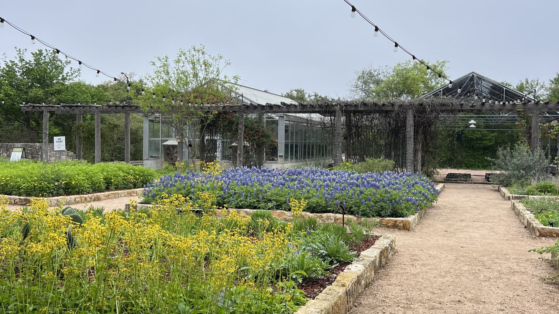 A photo of yellow and blue flowers alone a pathway