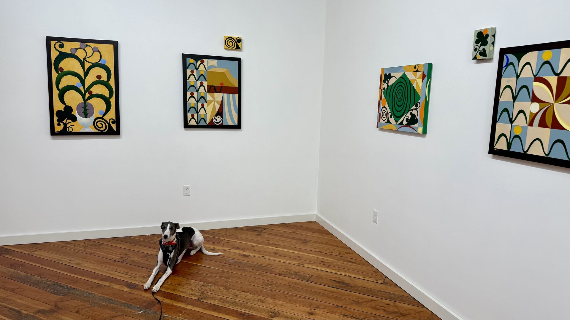 A dog lays under a series of paintings inside an art gallery with golden wooden floors.