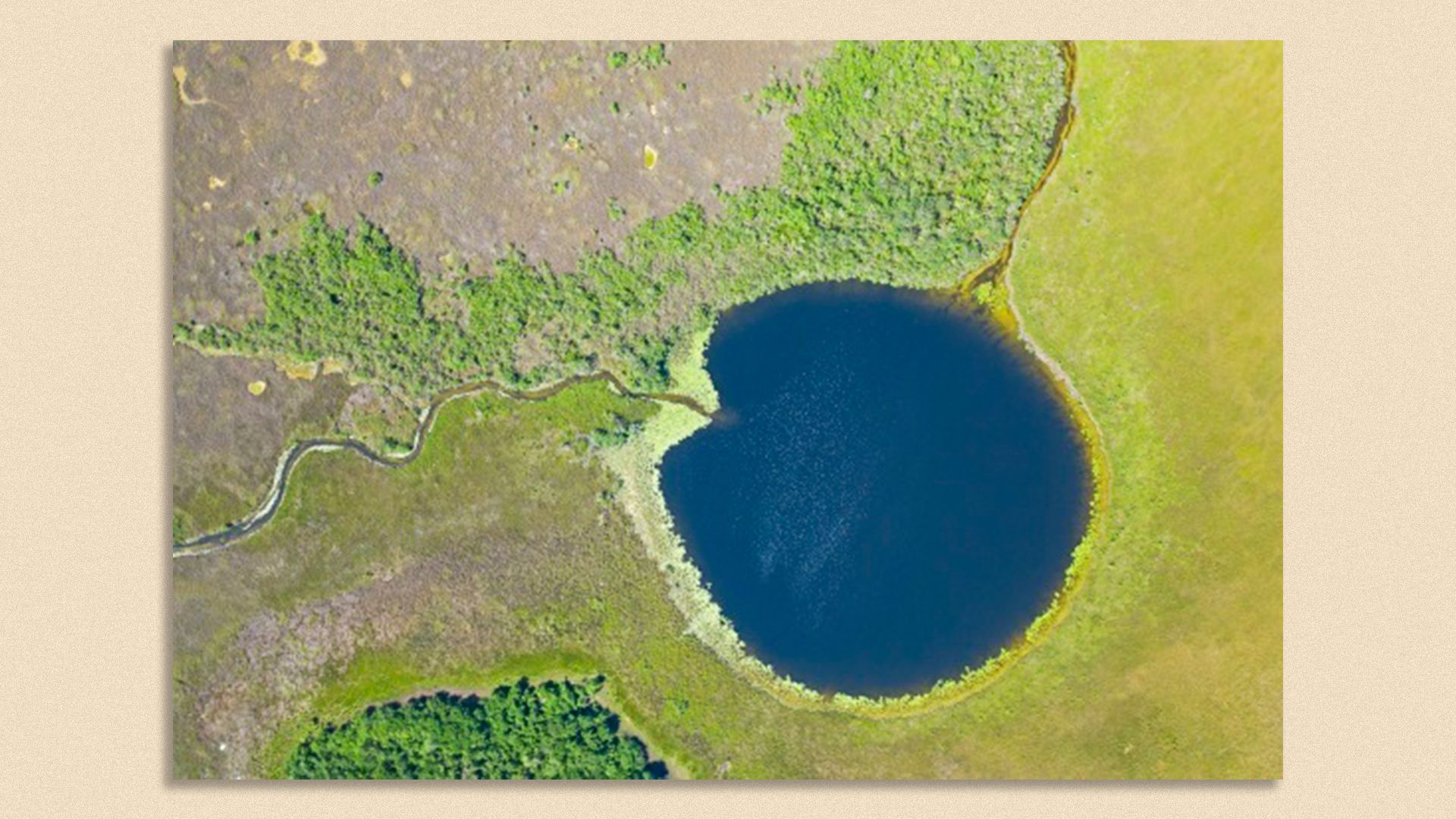 An aerial photo of the mangrove forest in Tabasco,  the most inland of its type on Earth. 