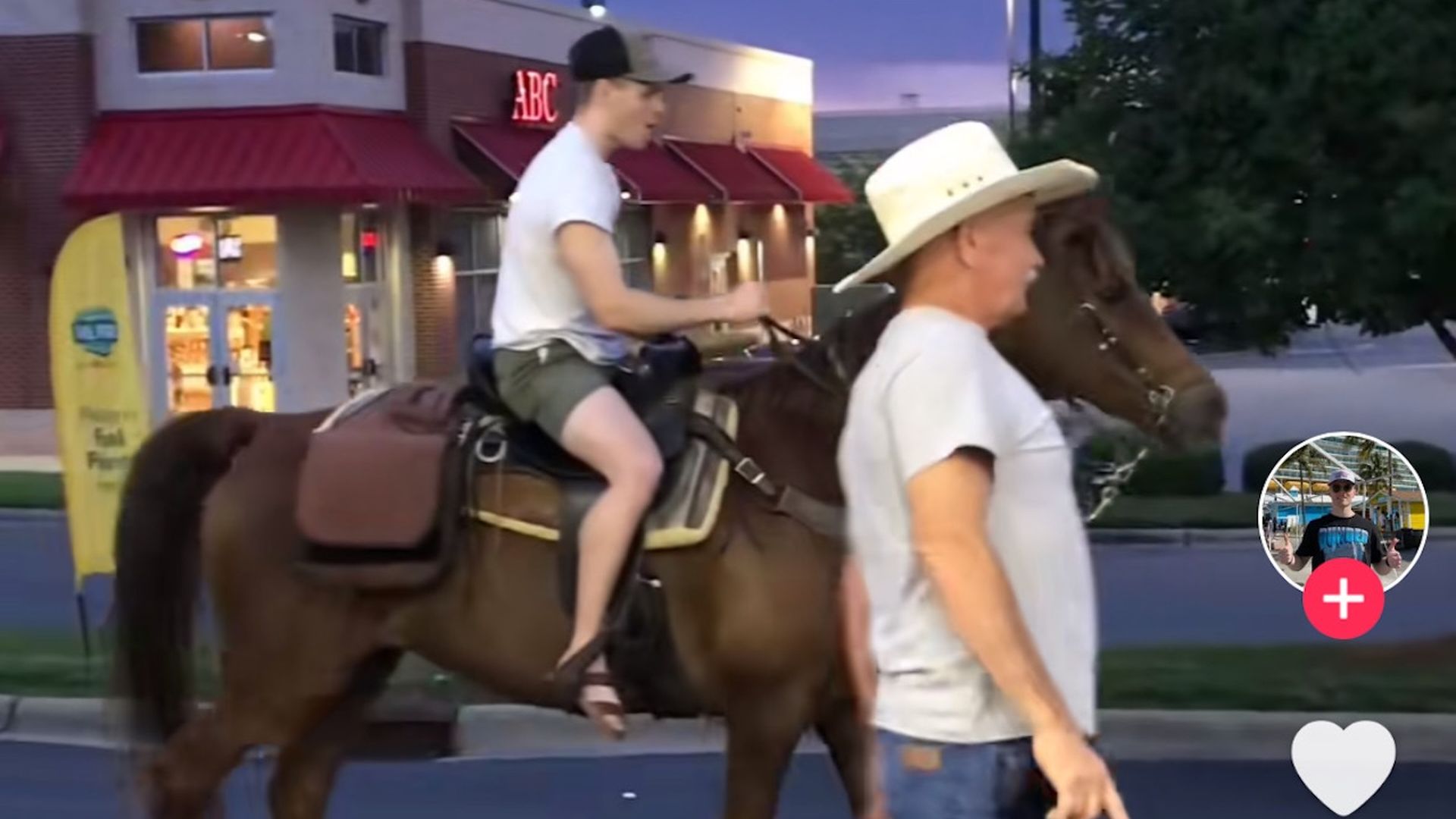 Can You Get a Dui on a Horse in Nc? Shocking Legal Truths Revealed
