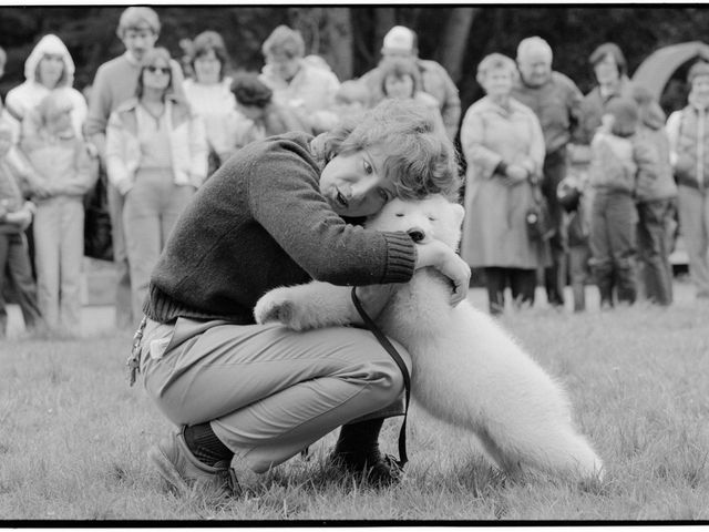 The polar bear that captured San Francisco's heart - Axios San