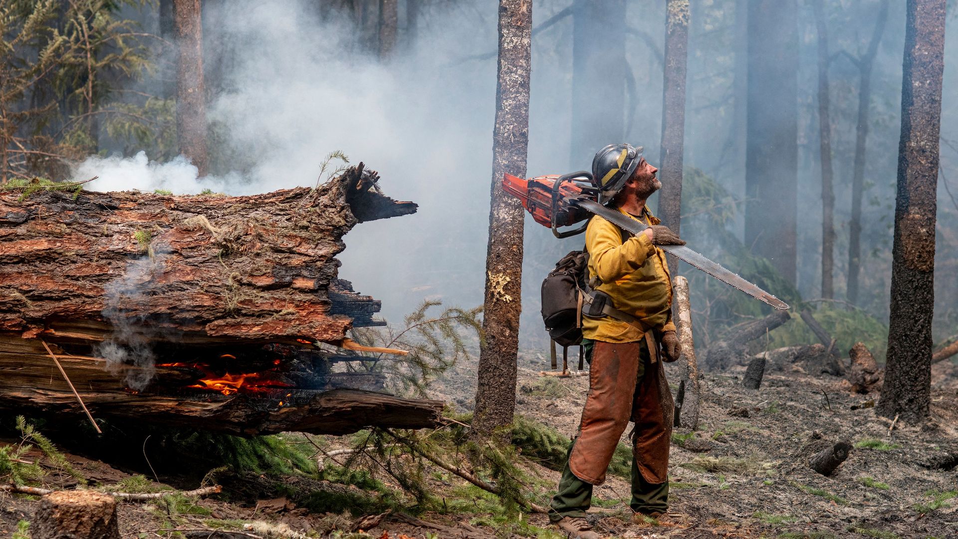 An image of a firefighter facing away from a fallen tree smoldering. 